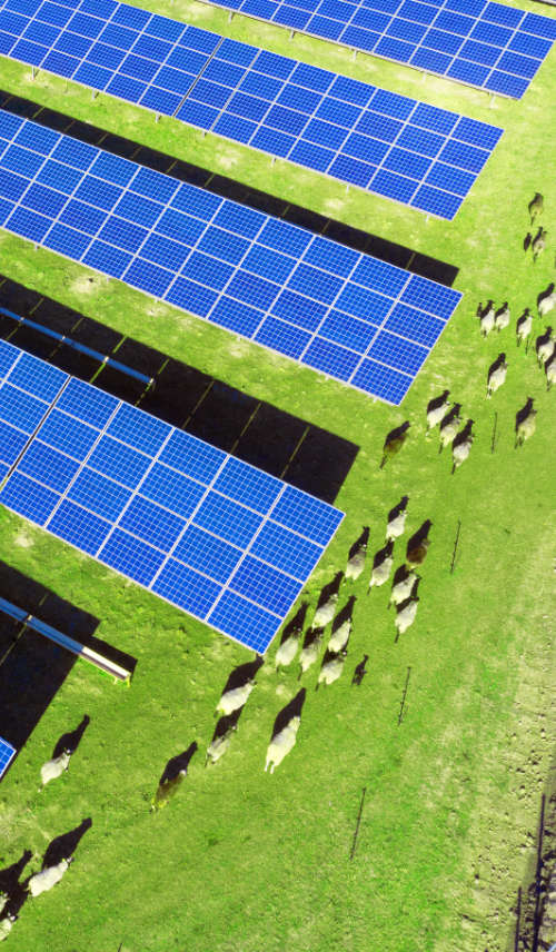 agrivoltaico: il fotovoltaico per un'agricoltura sostenibile