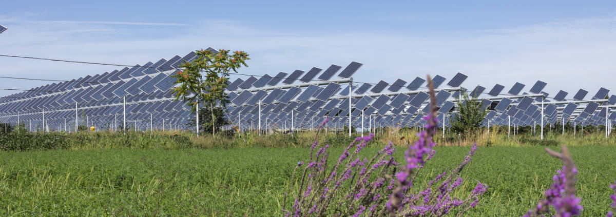 Vantaggi del fotovoltaico per grandi impianti produttivi
