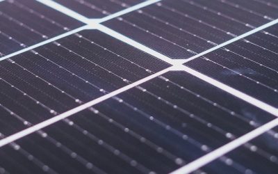 Moduli Fotovoltaici innovativi Omnia Solar: Half Cut Cell con tecnologia PERC